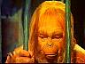 drzaius1.jpg